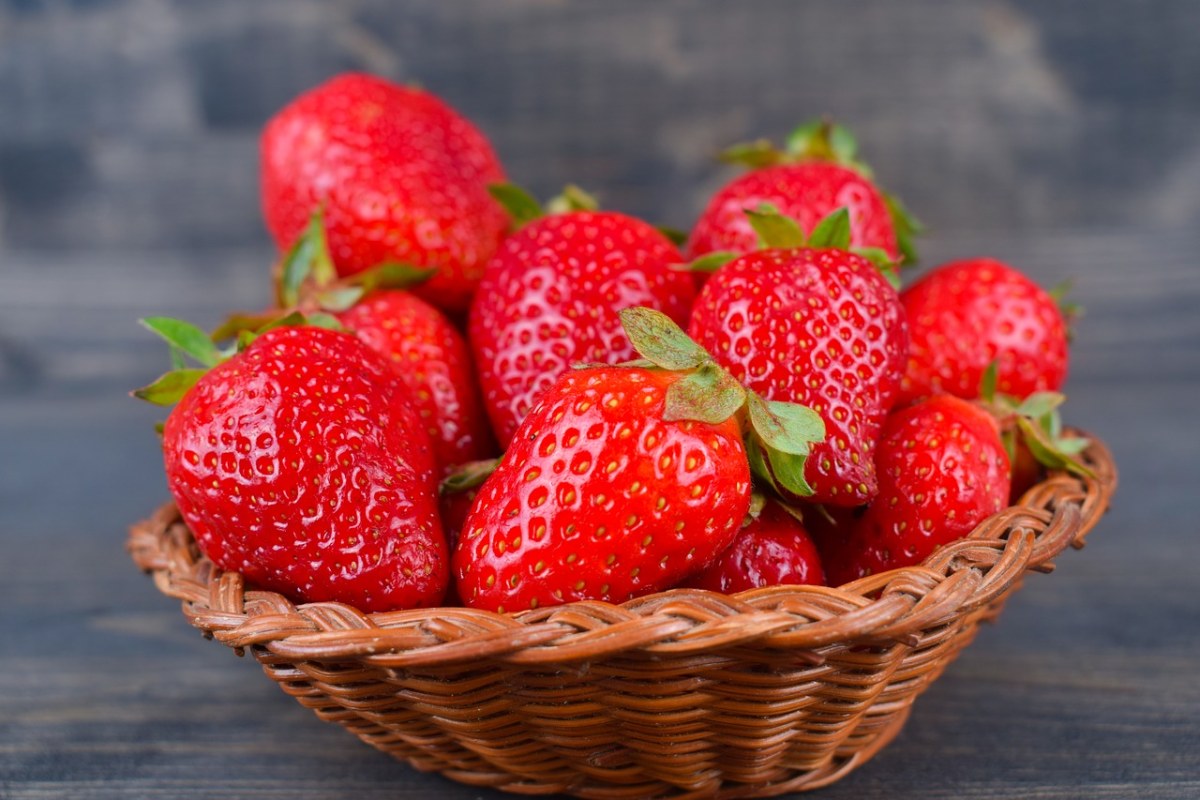 草莓、季节、春免费图片