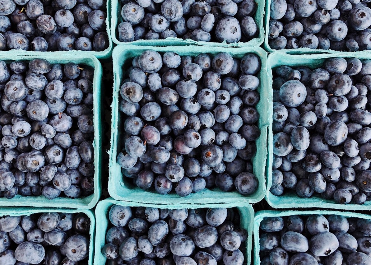 浆果蓝莓免费图片
