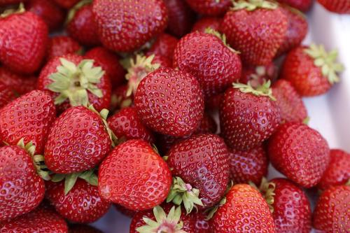 草莓、莓果、美味