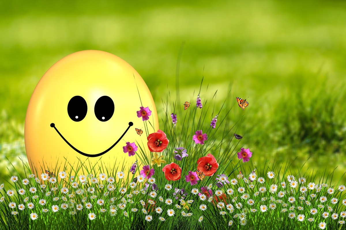 春天的花朵与黄色的笑脸蛋免费图片