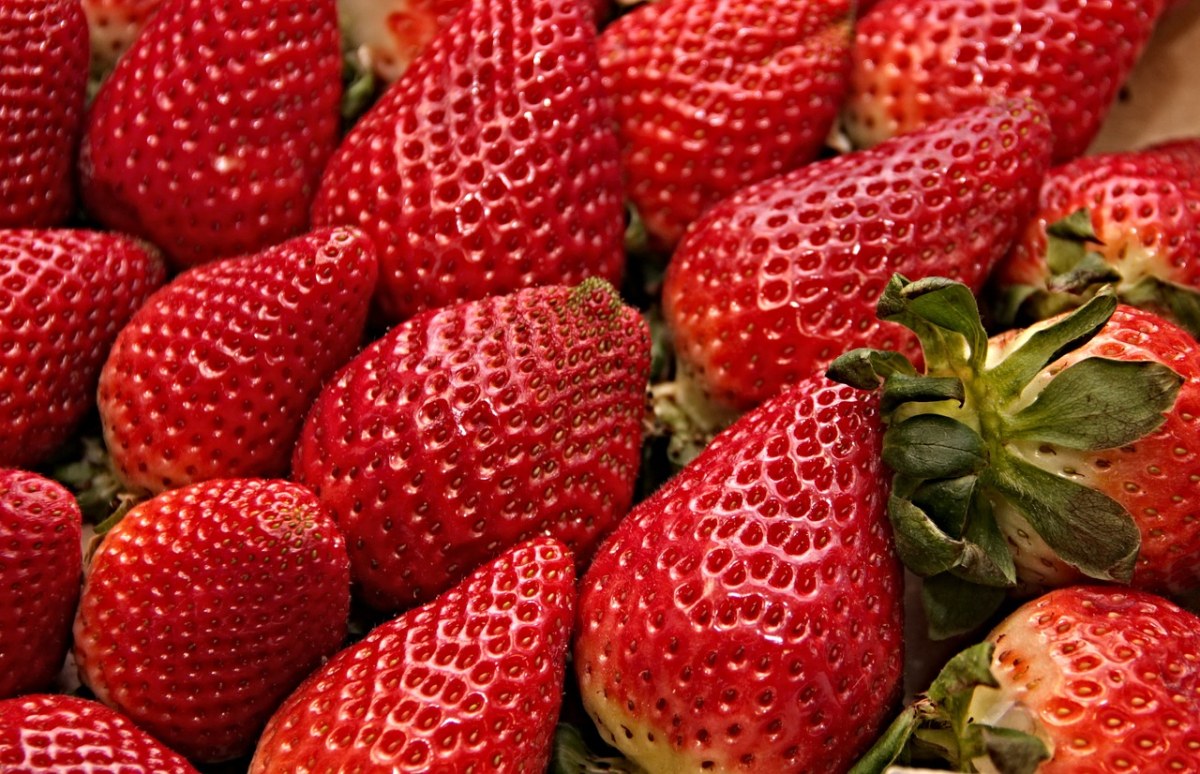草莓、红色、甜免费图片