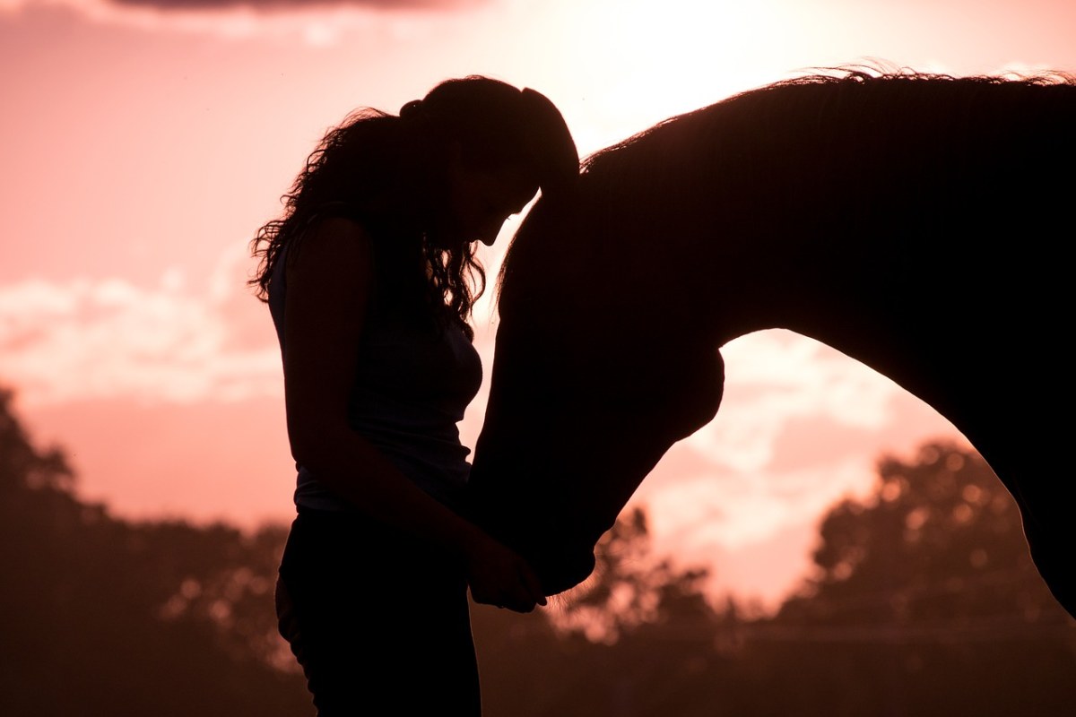 马、女子、动物免费图片
