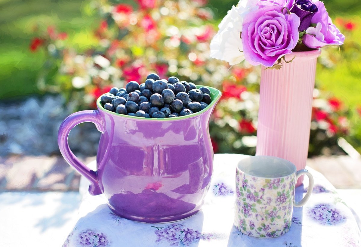杯子里的蓝莓与花束静物免费图片