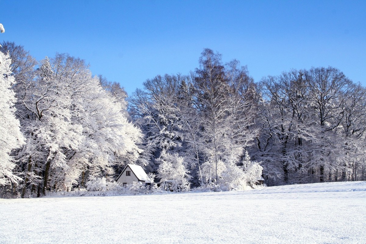 冬天、景观、雪免费图片