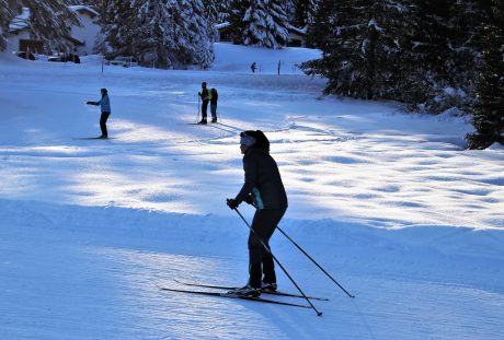 滑雪者、冬季运动、雪