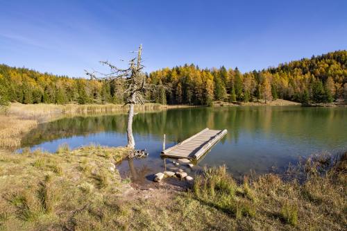 湖泊与湖岸的树林植被风景