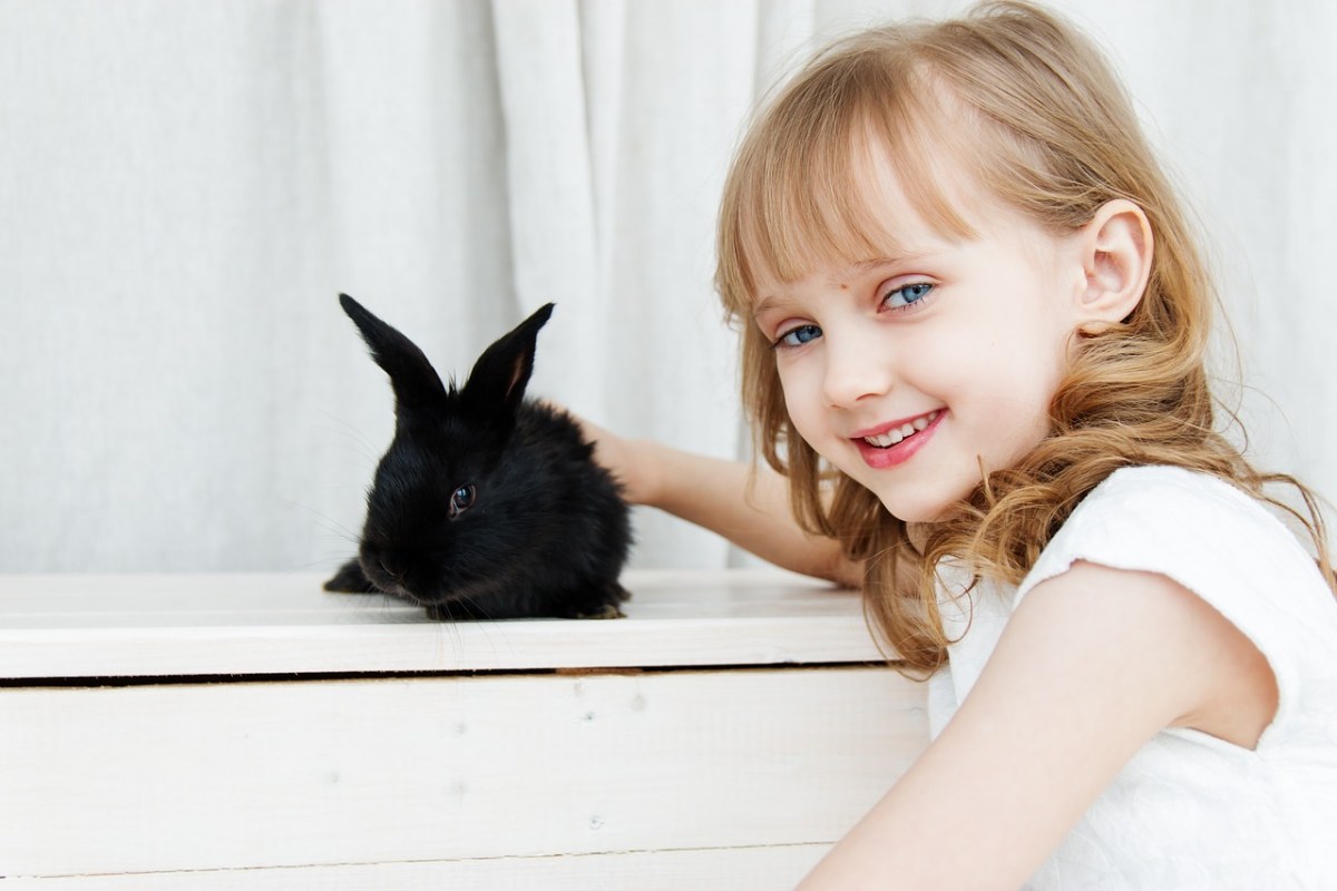兔子、野兔、婴儿免费图片