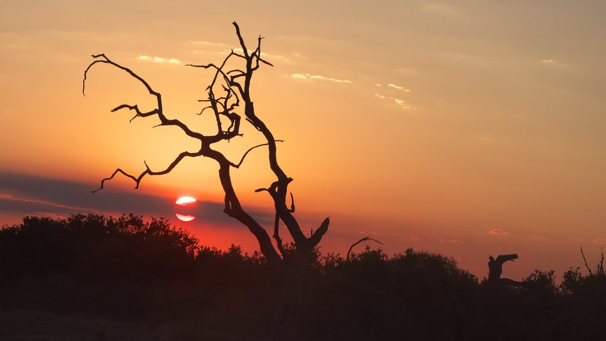 日落、乔贝、非洲免费图片