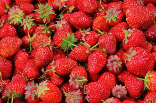 草莓、浆果、水果