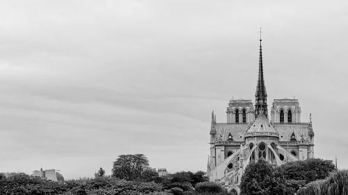 大教堂、巴黎圣母院、巴黎