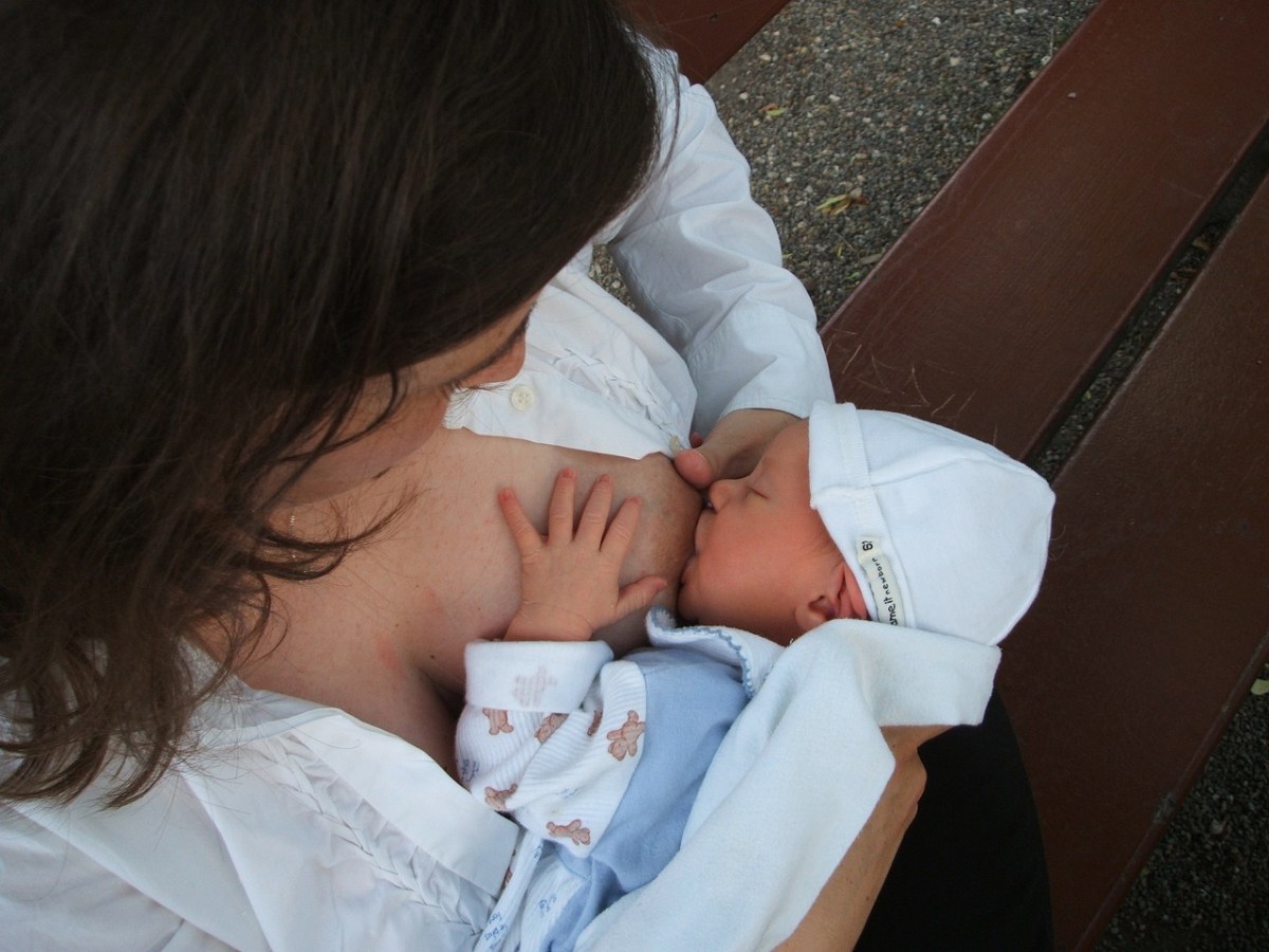 母乳喂养、新生、婴儿免费图片