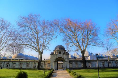 温润春天为本地菜“加油”，江城市场一元菜唱起主角