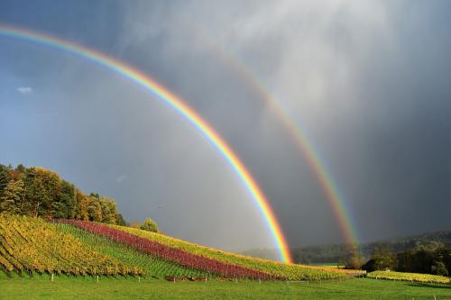 彩虹、雨、景观