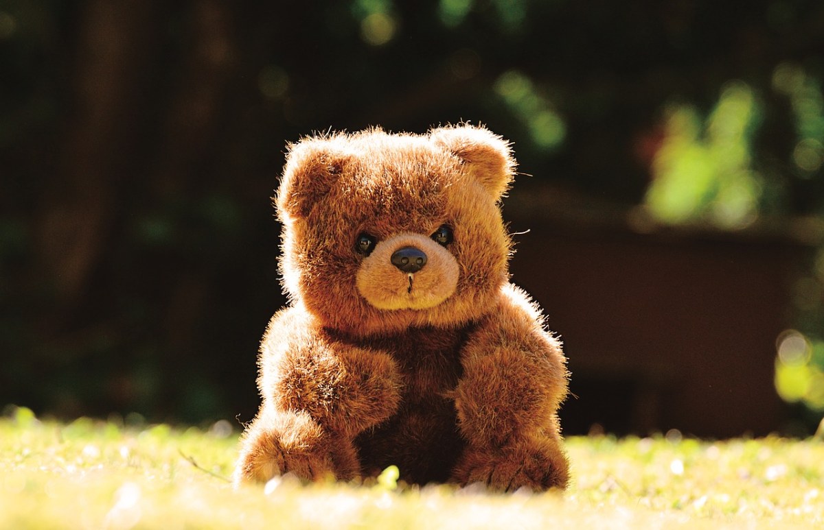 泰迪熊,可爱,毛绒玩具