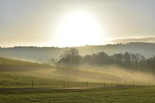 景观、雾、清晨的阳光