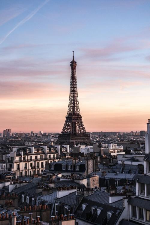 巴黎、屋顶、屋面