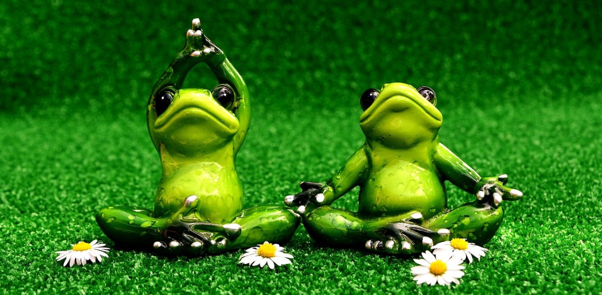 青蛙、瑜伽、草地免费图片