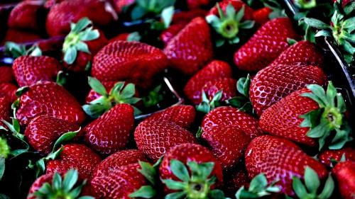 草莓、红色、特写