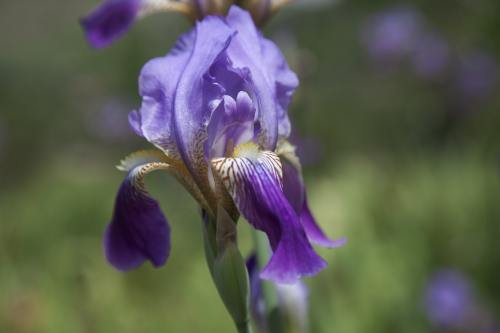 湖南一业主装修快收尾才发现装错房了，装修款找谁要