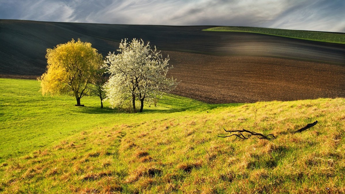 春天农场的风景图片免费图片