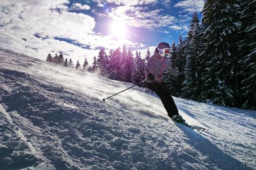 滑雪、女孩、太阳