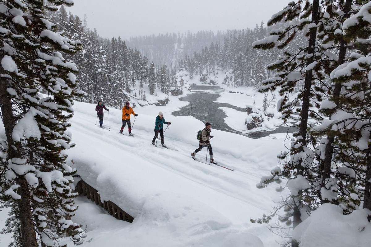 滑雪、越野、雪免费图片