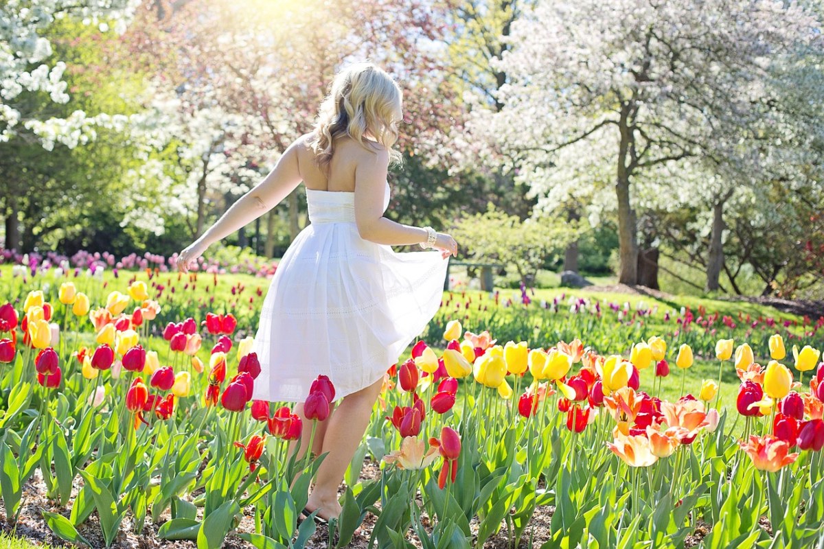 郁金香花丛中穿着白色连衣裙的美女背影免费图片