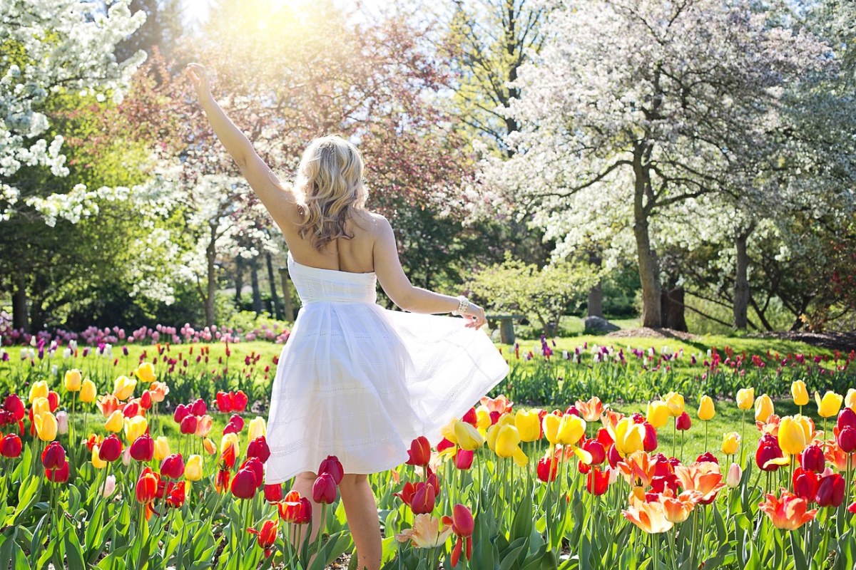 春天的公园中赏花的美女人物背影免费图片
