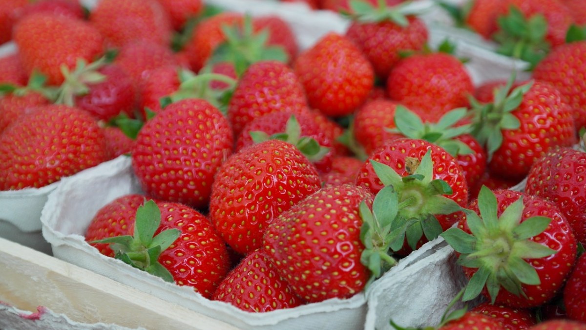 草莓、浆果、水果免费图片