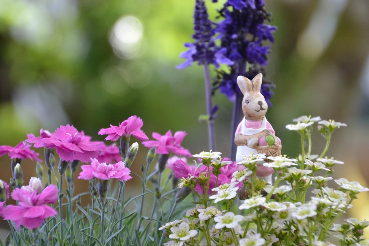 兔子的耳朵,复活节主题,复活节的图像