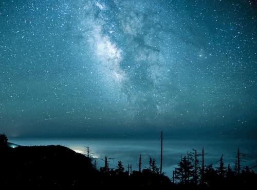 星星、景观、夜
