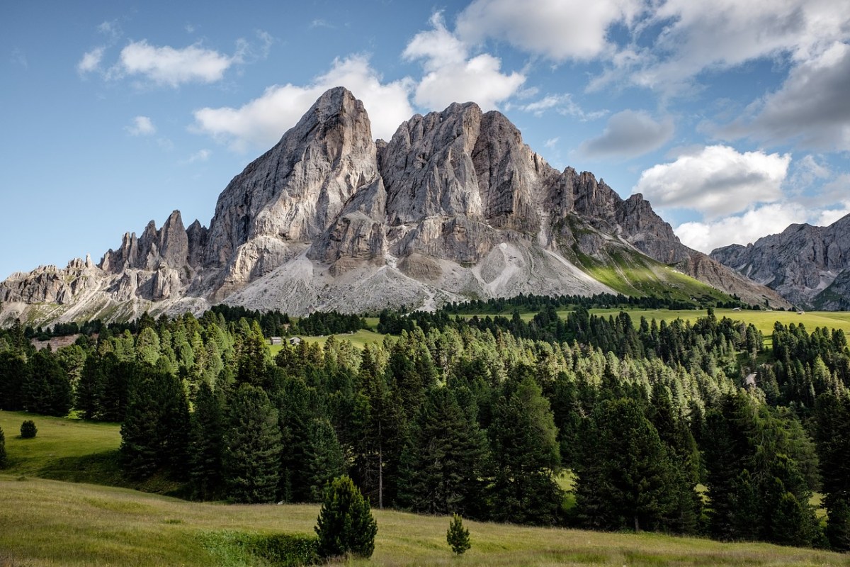 高山,森林,山