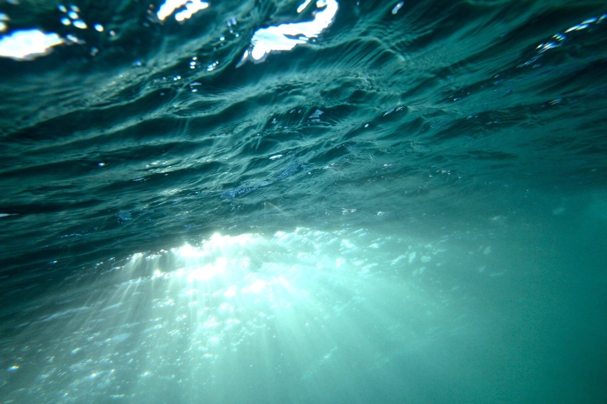 水下、阳光、海洋免费图片