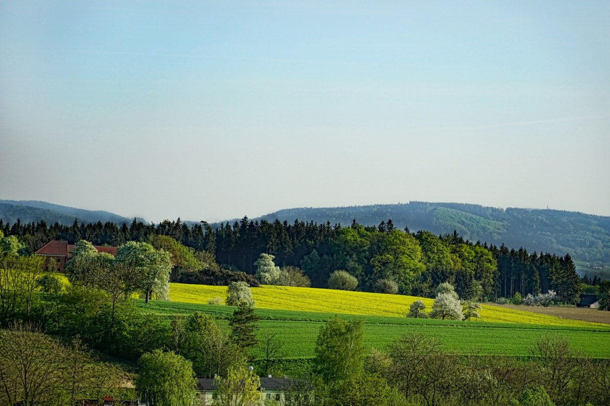 春天的绿色植被田园风景免费图片