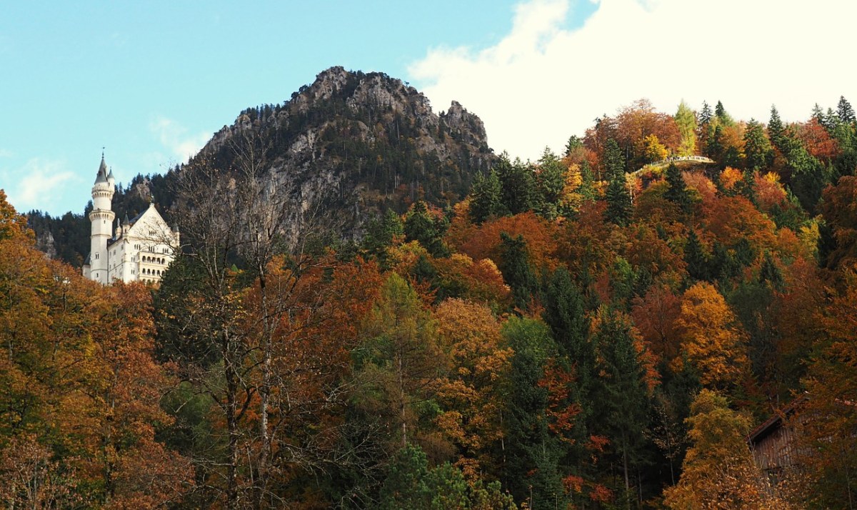 森林、城堡、秋天免费图片
