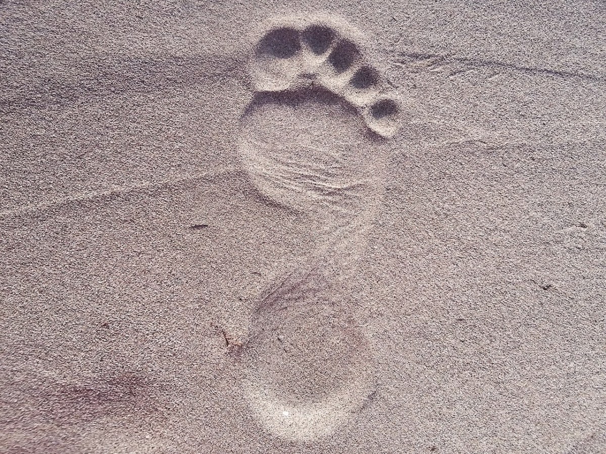 脚印、脚、砂免费图片