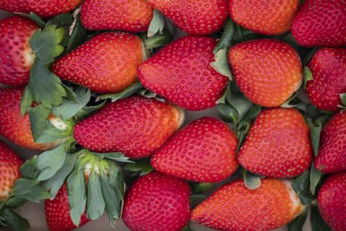 草莓、水果、食品