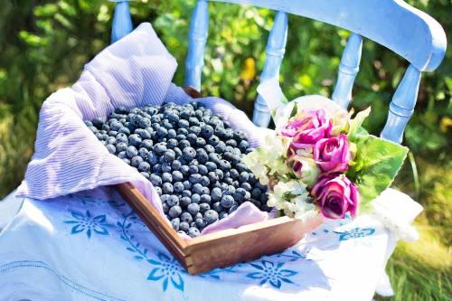 花束与新鲜的蓝莓