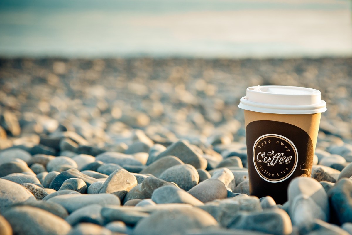 海、咖啡、早上免费图片