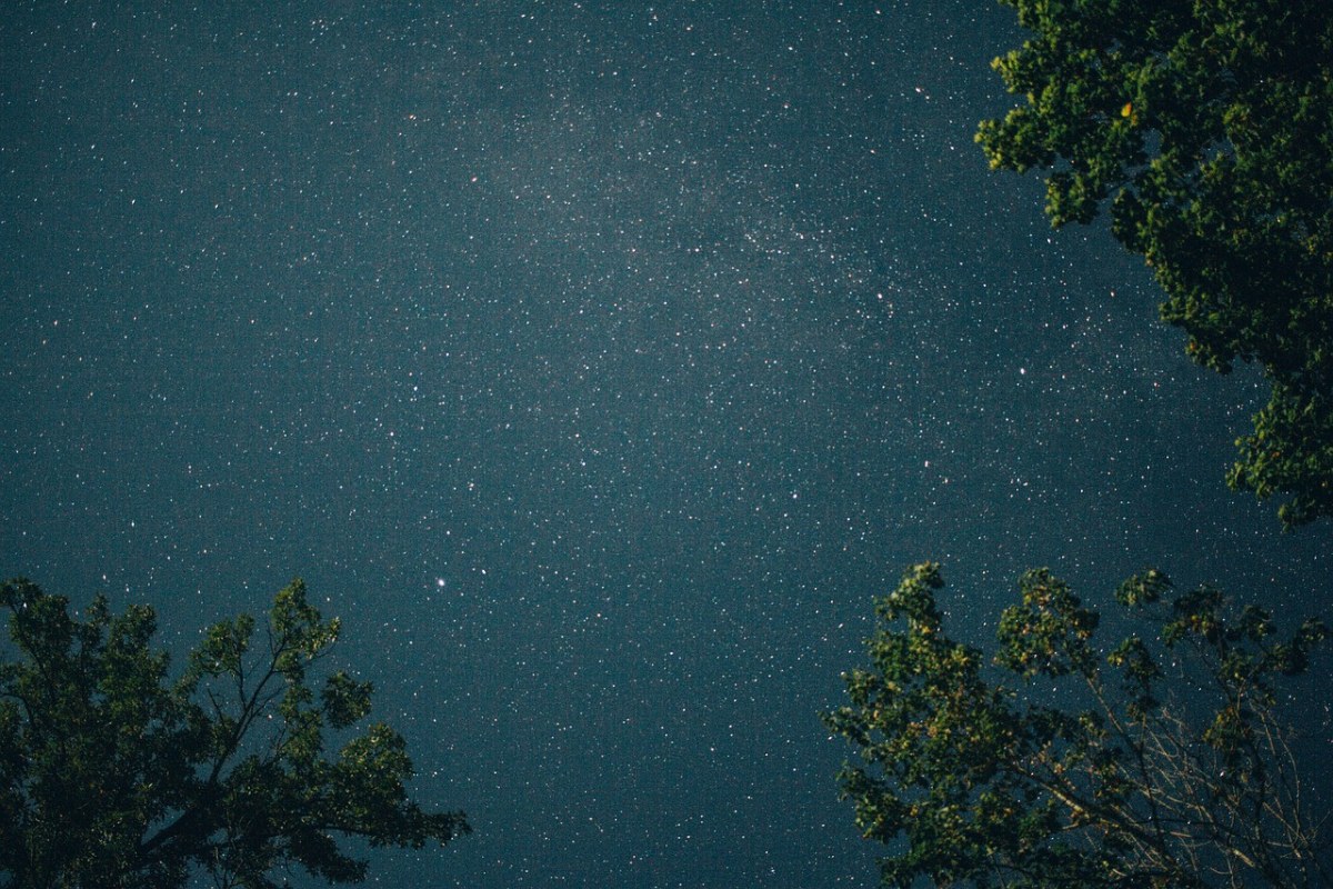 星星、天空、夜免费图片