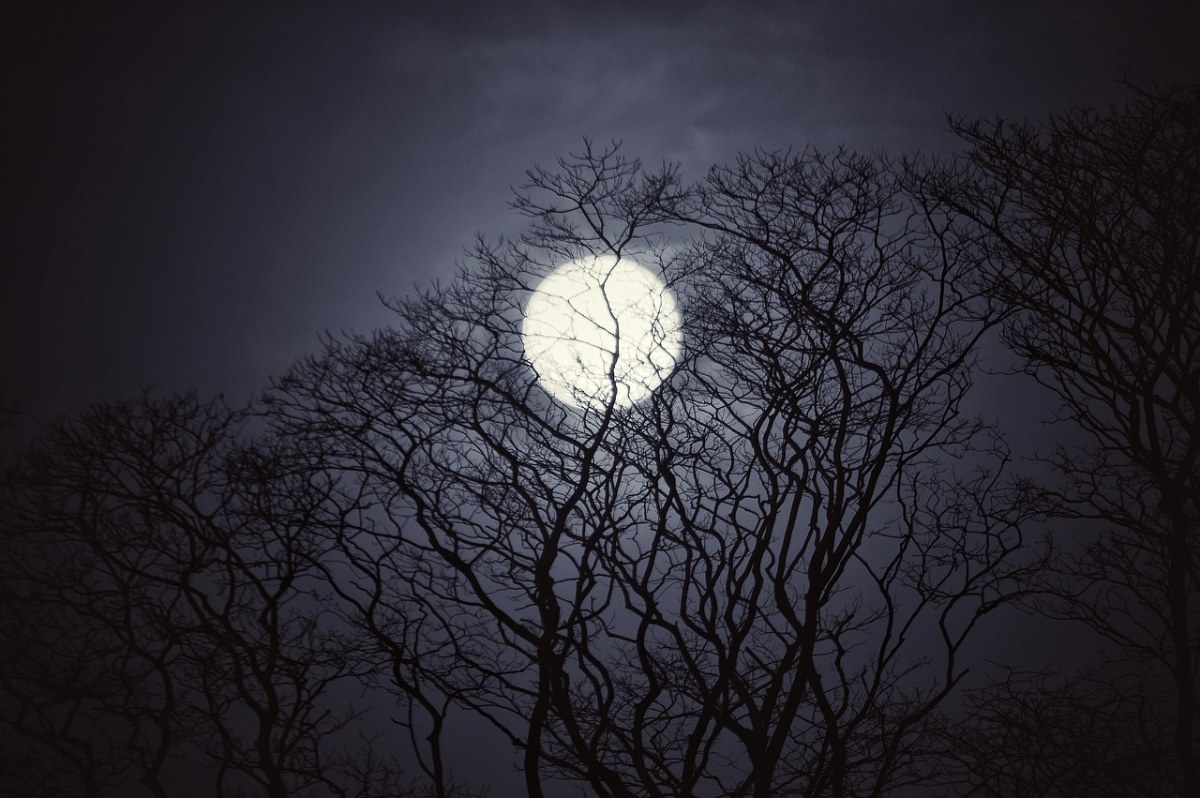 月亮、夜、天空免费图片