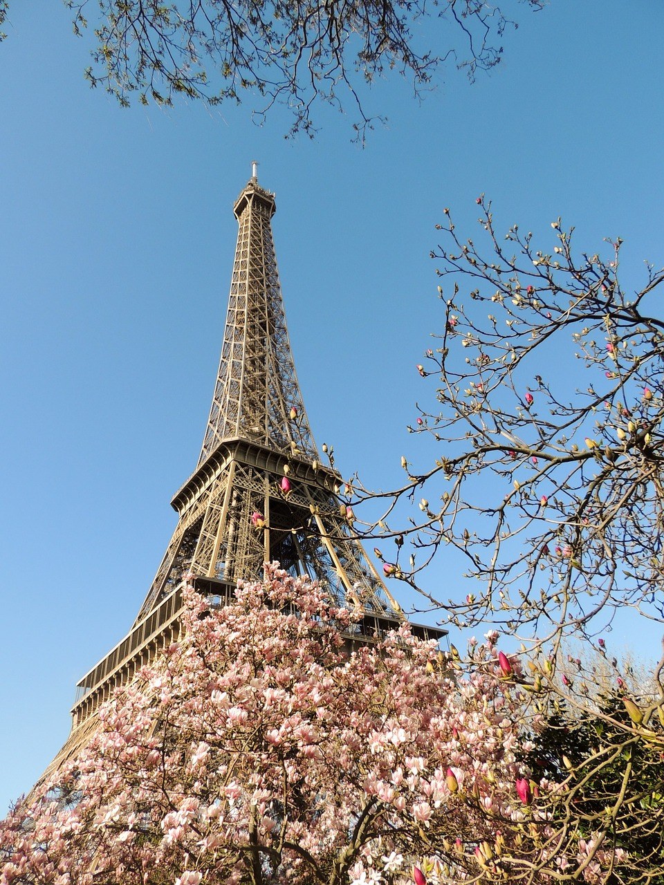 巴黎、埃菲尔铁塔、法国免费图片