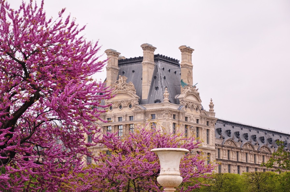 春天的法国巴黎卢浮宫(罗浮宫)建筑免费图片
