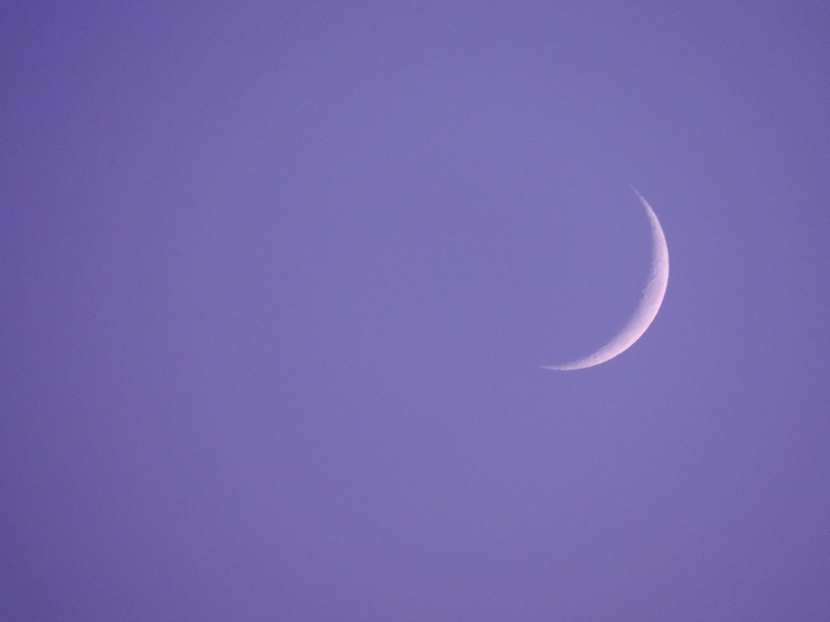 斋月、湿婆的月亮免费图片