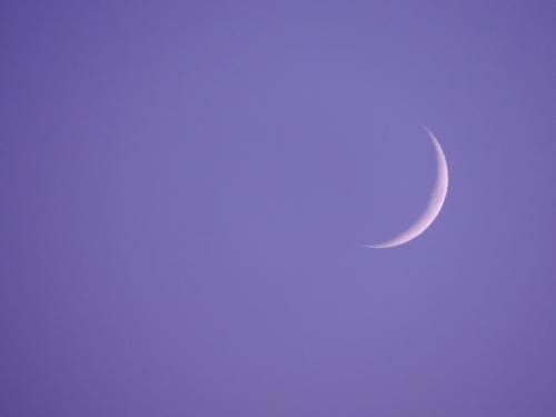 斋月、湿婆的月亮