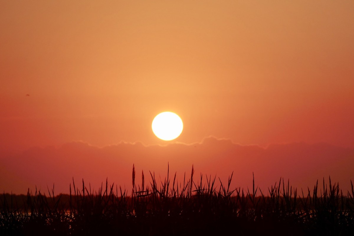 授权:①可免费用于商业用途 ②不要求署名来源:pixabay@ satyaprem