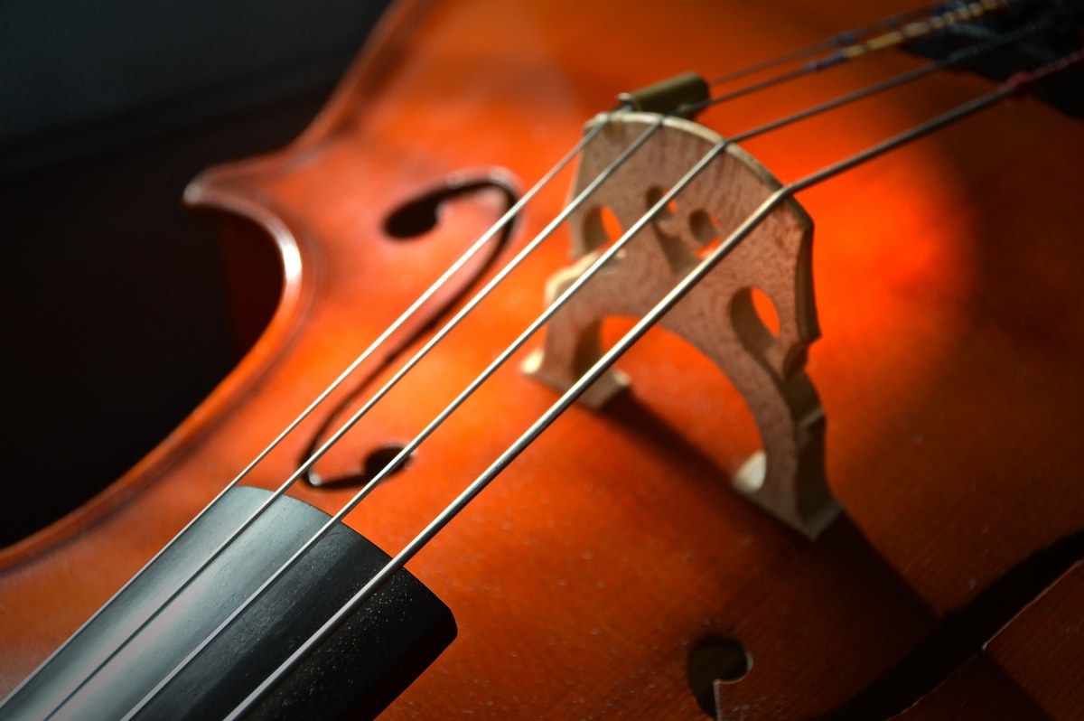 大提琴、字符串、弦乐器免费图片