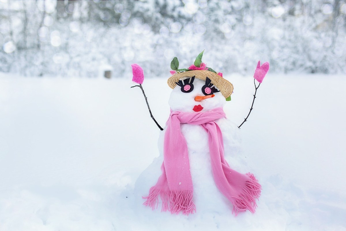 雪的女人、雪人、雪免费图片