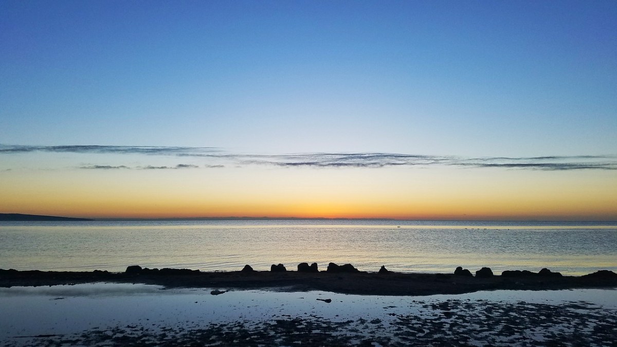 日出、海免费图片