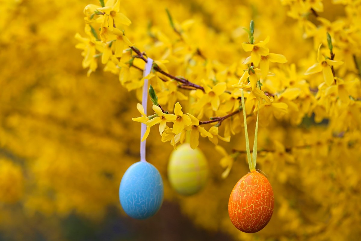 复活节、鸡蛋、鲜花免费图片